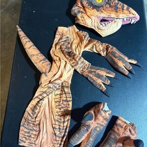Reptile Costume for Pets - Orange and Black